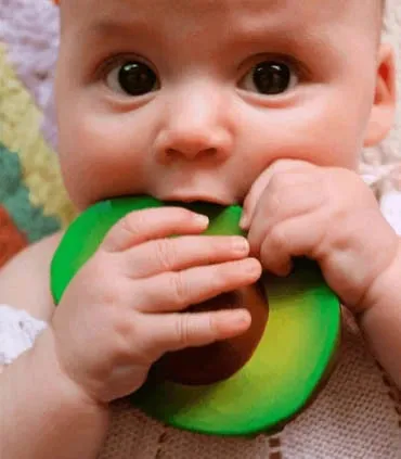 Arnold the Avocado Bath Toy
