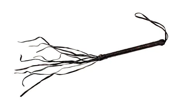 Cat o'Nine Tail-Whip