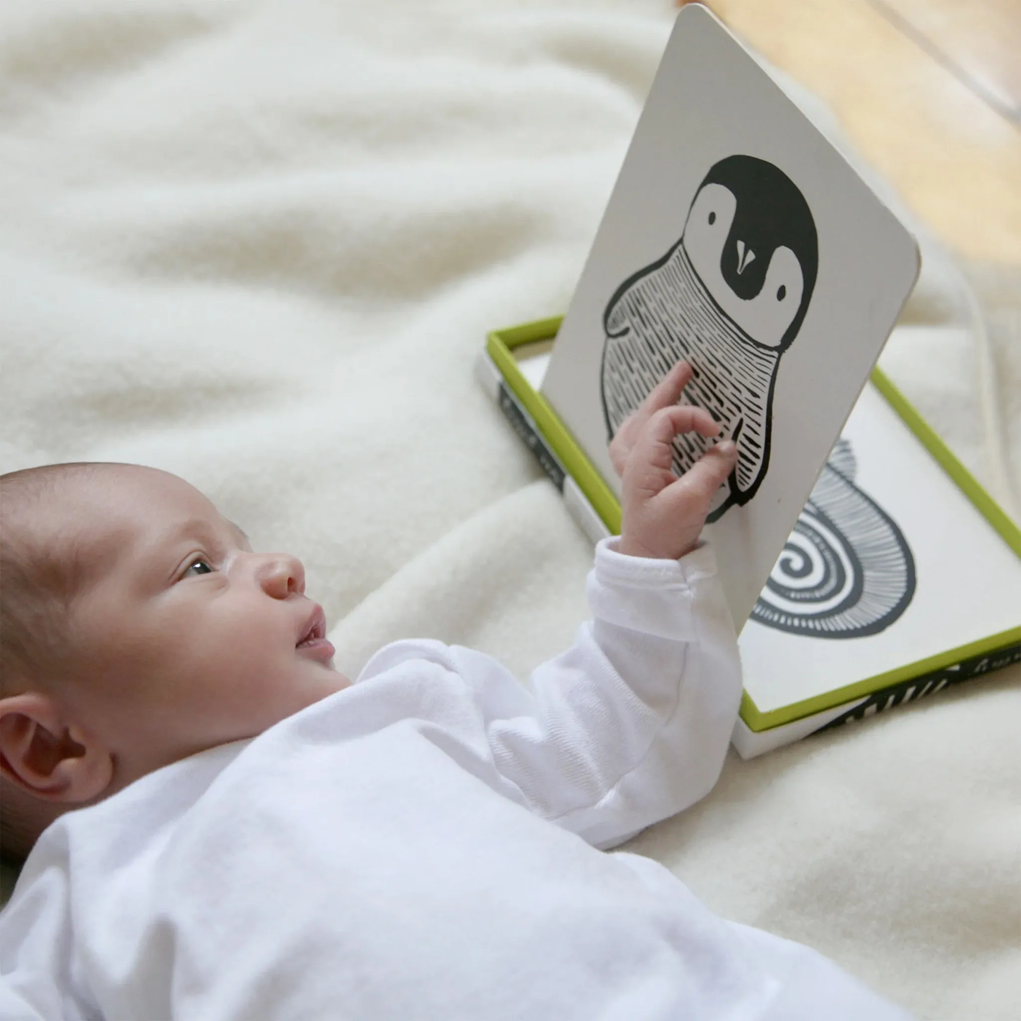 Wee Gallery Little Naturalist Black & White Gift Set